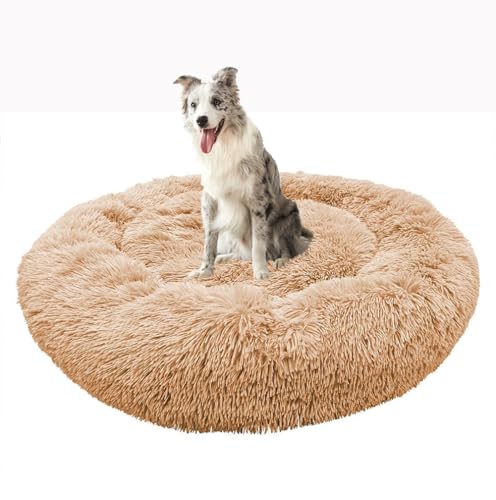 Yuly Donut Katzenbetten, Hundekissen, Langer Plüsch Hundebett, Anti-Angst Katzenkissen, rutschfest Hundebetten, Waschbar Haustierbett für Katzen, Große, Mittelgroße & Kleine Hunde Yuly Donut Katzenbetten, Hundekissen, Langer Plüsch Hundebett, Anti-Angst Katzenkissen, rutschfest Hundebetten, Waschbar Haustierbett für Katzen, Große, Mittelgroße & Kleine Hunde von Yuly