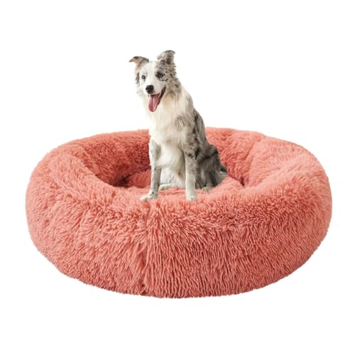 Yuly Donut Katzenbetten, Hundekissen, Langer Plüsch Hundebett, Anti-Angst Katzenkissen, rutschfest Hundebetten, Waschbar Haustierbett für Katzen, Große, Mittelgroße & Kleine Hunde Yuly Donut Katzenbetten, Hundekissen, Langer Plüsch Hundebett, Anti-Angst Katzenkissen, rutschfest Hundebetten, Waschbar Haustierbett für Katzen, Große, Mittelgroße & Kleine Hunde von Yuly