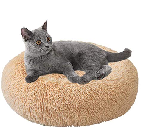 Yuly Donut Komfort-Hundebett, kuscheliges Haustierbett für Katzen und kleine, mittelgroße und große Hunde, rund, nistend, mit weichem Kissen, selbstwärmend für verbesserten Haustierschlaf von Yuly