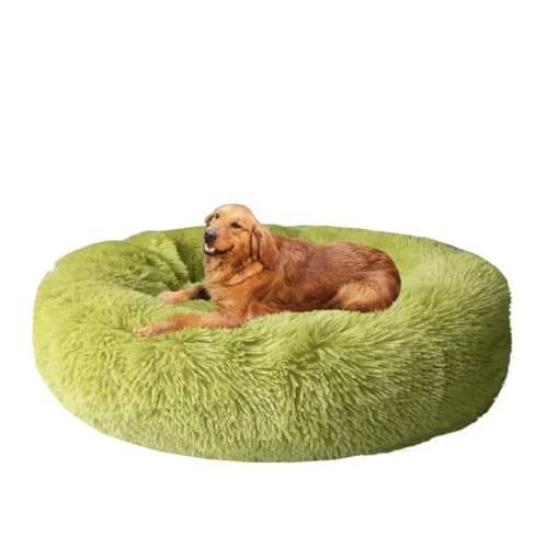 Yuly Hundematte mit Anti-Rutsch-Boden, Orthopädisches Hundebett, Anti-Angst Hundekorb Weich Bequem Hundebett, Beruhigende Hundebetten für Hunde, Katzen und Kaninchen Yuly Hundematte mit Anti-Rutsch-Boden, Orthopädisches Hundebett, Anti-Angst Hundekorb Weich Bequem Hundebett, Beruhigende Hundebetten für Hunde, Katzen und Kaninchen von Yuly