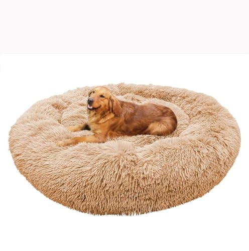 Yuly Hundematte mit Anti-Rutsch-Boden, Orthopädisches Hundebett, Anti-Angst Hundekorb Weich Bequem Hundebett, Beruhigende Hundebetten für Hunde, Katzen und Kaninchen Yuly Hundematte mit Anti-Rutsch-Boden, Orthopädisches Hundebett, Anti-Angst Hundekorb Weich Bequem Hundebett, Beruhigende Hundebetten für Hunde, Katzen und Kaninchen von Yuly