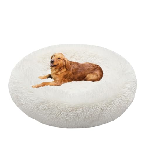 Yuly Hundematte mit Anti-Rutsch-Boden, Orthopädisches Hundebett, Anti-Angst Hundekorb Weich Bequem Hundebett, Beruhigende Hundebetten für Hunde, Katzen und Kaninchen Yuly Hundematte mit Anti-Rutsch-Boden, Orthopädisches Hundebett, Anti-Angst Hundekorb Weich Bequem Hundebett, Beruhigende Hundebetten für Hunde, Katzen und Kaninchen von Yuly