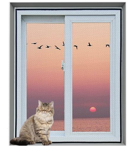 Yuly Katzensichere Fensternetze, Katzensicherheitsnetz, doppelter Reißverschluss, selbstklebendes Netz, Fensterschutz, Insektenschutz, Mückengitter, einfache Installation, Fliegen und Insekten Yuly Katzensichere Fensternetze, Katzensicherheitsnetz, doppelter Reißverschluss, selbstklebendes Netz, Fensterschutz, Insektenschutz, Mückengitter, einfache Installation, Fliegen und Insekten von Yuly