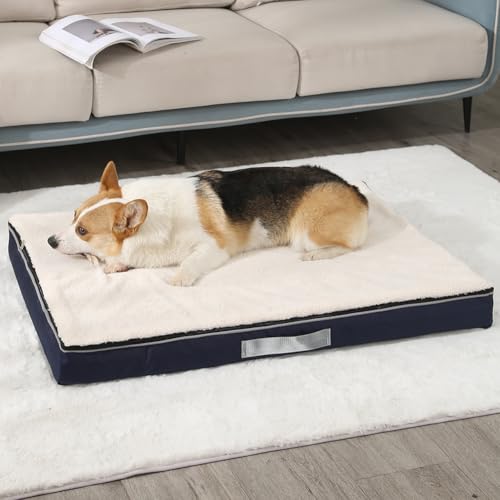 Yuly Orthopädisches Hundebett für große & kleine Hunde,Cozy Hundekissen,Memory Foam Hundematte,Waschbar Hundematratze,Hundekorb,rutschfeste Unterseite und Seitengriff (100x75x10cm,Weiß) von Yuly
