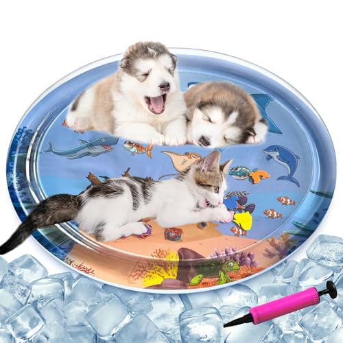 Sensor-Wasser-Spielmatte, verdickte Wassersensor-Spielmatte für Katzen und Hunde, verdickte sensorische Wasserspielmatte für Katzen mit Fischen zum Spielen von Haustieren, Wassersensor-Pad Sensor-Wasser-Spielmatte, verdickte Wassersensor-Spielmatte für Katzen und Hunde, verdickte sensorische Wasserspielmatte für Katzen mit Fischen zum Spielen von Haustieren, Wassersensor-Pad von YumSur