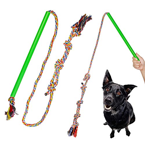 Hund Erweiterbar Teaser Zauberstab Pet Flirt Pole Spielzeug Außerhalb Interaktive Hund Schlepper Spielzeug mit Kauen Seil für Kleine Medium Large Hunde Training Spielen Übung von Yumech