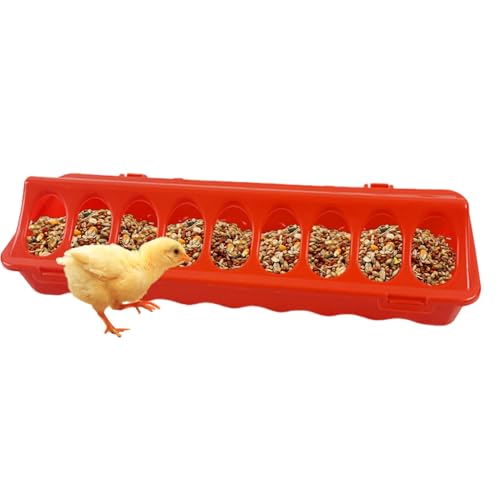 Yumneo Hühnerfutter-Futterstation, Geflügel-Futtertablett, Schale mit Löchern, Ausrüstung, Fütterung für Outdoor-Bauernhöfe, Enten, Vögel, Wachteln, Indoor Home von Yumneo
