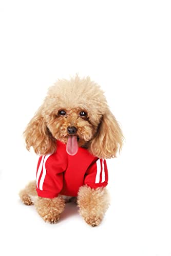 Hundekleidung Klein Hund Chihuahua Kleidung Hunde Warm Hoodies Mantel Kleidung Pullover Haustier Welpen Hunde Hoodie Hundekleidung Klein Hund Chihuahua Kleidung Hunde Warm Hoodies Mantel Kleidung Pullover Haustier Welpen Hunde Hoodie von YunJiaoon