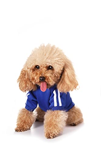 Hundepulli für Kleine Hunde, Hunde Hoodie Pet Puppy Katze Niedlicher Baumwoll Warm Hoodies Coat Pullover Hundepulli für Kleine Hunde, Hunde Hoodie Pet Puppy Katze Niedlicher Baumwoll Warm Hoodies Coat Pullover von YunJiaoon