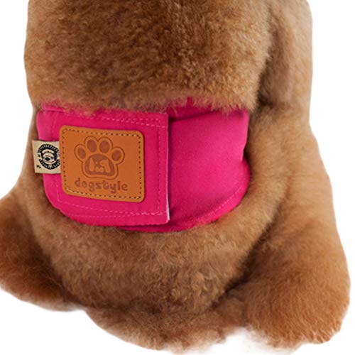 Yuncai Waschbar Sanitär Physiologische Hosen Atmungsaktiv Gemütlich Windel Unterhose für Haustier Hund Rot XL von Yuncai