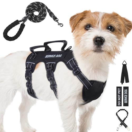 Ausbruchsicheres Hundegeschirr für große und mittelgroße Hunde, 6-Punkt-verstellbar, Service-Hundegeschirr, Geschirr und Leine, kein Ziehen, Hundegeschirr mit Griff, mittelgroße Hundegeschirr zum Ausbruchsicheres Hundegeschirr für große und mittelgroße Hunde, 6-Punkt-verstellbar, Service-Hundegeschirr, Geschirr und Leine, kein Ziehen, Hundegeschirr mit Griff, mittelgroße Hundegeschirr zum von Yungaspy