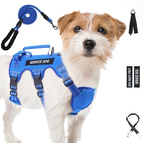 Ausbruchsicheres Hundegeschirr für große und mittelgroße Hunde, 6-Punkt-verstellbar, Service-Hundegeschirr, Geschirr und Leine, kein Ziehen, Hundegeschirr mit Griff, mittelgroße Hundegeschirr zum Ausbruchsicheres Hundegeschirr für große und mittelgroße Hunde, 6-Punkt-verstellbar, Service-Hundegeschirr, Geschirr und Leine, kein Ziehen, Hundegeschirr mit Griff, mittelgroße Hundegeschirr zum von Yungaspy