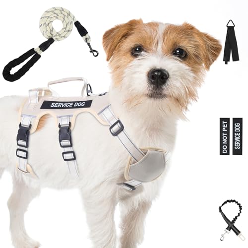 Ausbruchsicheres Hundegeschirr für große und mittelgroße Hunde, 6-Punkt-verstellbar, Service-Hundegeschirr, Geschirr und Leine, kein Ziehen, Hundegeschirr mit Griff, mittelgroße Hundegeschirr zum Ausbruchsicheres Hundegeschirr für große und mittelgroße Hunde, 6-Punkt-verstellbar, Service-Hundegeschirr, Geschirr und Leine, kein Ziehen, Hundegeschirr mit Griff, mittelgroße Hundegeschirr zum von Yungaspy