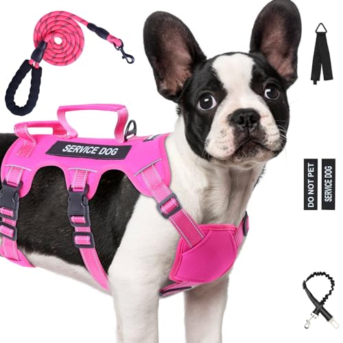 Ausbruchsicheres Hundegeschirr für große und mittelgroße Hunde, Sechs-Punkt-verstellbar, Service-Hundegeschirr, Geschirr und Leine, kein Ziehen, Hundegeschirr mit Griff, mittelgroße Hundegeschirr zum Ausbruchsicheres Hundegeschirr für große und mittelgroße Hunde, Sechs-Punkt-verstellbar, Service-Hundegeschirr, Geschirr und Leine, kein Ziehen, Hundegeschirr mit Griff, mittelgroße Hundegeschirr zum von Yungaspy