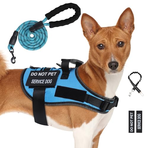Hundegeschirr und Leine, Set mit 4 Aufnähern, verstellbares Hundegeschirr mit Griff, Hundeweste, Geschirr, Französische Bulldogge, Chihuahua (Blau, M) von Yungaspy