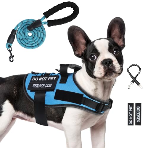 Hundegeschirr und Leine, Set mit 4 Aufnähern, verstellbares Hundegeschirr mit Griff, Hundeweste, Geschirr, Französische Bulldogge, Chihuahua (Blau, S) von Yungaspy