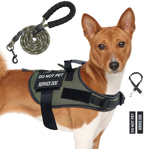 Hundegeschirr und Leine, Set mit 4 Patches, verstellbares Hundegeschirr mit Griff, Hundeweste, französische Bulldogge, Chihuahua (Grün, M) von Yungaspy
