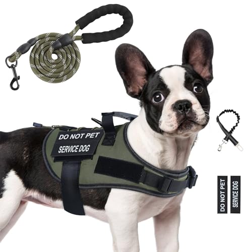 Hundegeschirr und Leine, Set mit 4 Patches, verstellbares Hundegeschirr mit Griff, Hundeweste, französische Bulldogge, Chihuahua (Grün, S) von Yungaspy
