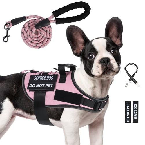Hundegeschirr und Leine, Set mit 4 Patches, verstellbares Hundegeschirr mit Griff, Hundeweste, französische Bulldogge, Chihuahua (Rosa, S) von Yungaspy