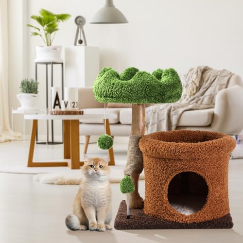Kleiner Katzenbaum für Indoor Katzen Groß Erwachsene, Katzen Kletterturm mit Kratzbaum, Katzenhütte Grün Holz Katzen Baum Blume Katzenbäume Modern Niedlich Katzenbaum mit baumelnden Ball Kleiner Katzenbaum für Indoor Katzen Groß Erwachsene, Katzen Kletterturm mit Kratzbaum, Katzenhütte Grün Holz Katzen Baum Blume Katzenbäume Modern Niedlich Katzenbaum mit baumelnden Ball von Yungaspy