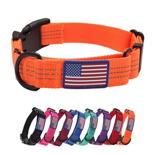 Yunleparks Martingale Hundehalsband, Schnellverschluss-Schnalle, kein Ziehen, reflektierend, rutschfest, für mittelgroße und große Hunde, Training (Orange, Größe M, 1 Stück) von Yunleparks
