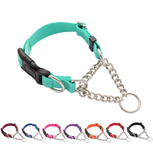 Yunleparks Martingale Hundehalsband mit Schnellverschluss-Schnalle, Stahlkette, kein Ziehen, reflektierend, für mittelgroße und große Hunde (Blaugrün, M) von Yunleparks