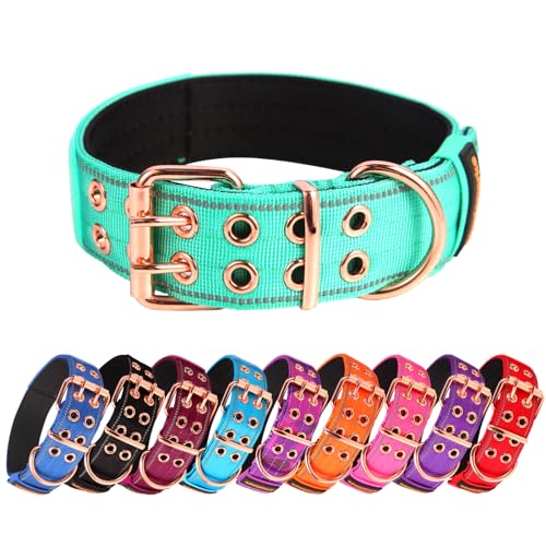 Yunleparks Strapazierfähiges, taktisches Hundehalsband mit Neopren gepolstert und Metallschnalle, reflektierendes Nylon für mittelgroße bis große Hunde (Blaugrün, M) von Yunleparks