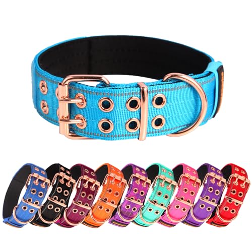 Yunleparks Strapazierfähiges, taktisches Hundehalsband mit Neopren gepolstert und Metallschnalle, reflektierendes Nylon für mittelgroße bis große Hunde (Himmelblau, M) von Yunleparks
