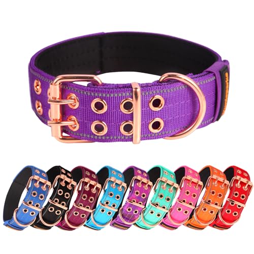Yunleparks Strapazierfähiges, taktisches Hundehalsband mit Neopren gepolstert und Metallschnalle, reflektierendes Nylon für mittelgroße bis große Hunde (lila, mittel) von Yunleparks