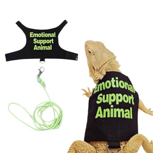 Bart Drache Kleidung mit Leine Set, handgemachte Kleidung für kleine Haustiere, Meerschweinchen und Eidechsen, Outdoor-Trainingsgeschirr und Requisiten Bart Drache Kleidung mit Leine Set, handgemachte Kleidung für kleine Haustiere, Meerschweinchen und Eidechsen, Outdoor-Trainingsgeschirr und Requisiten von Yunmoxiao