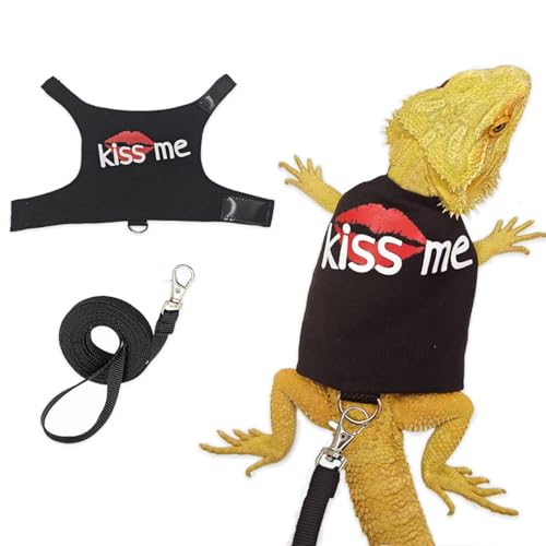 Hundegeschirr und Leine, Set mit süßer Eidechse, Reptilien, Kleintiere, verstellbares Geschirr mit kurzer Leine, für Amphibien, Chamäleons, kleine Haustiere, Outdoor-Sicherheit, Spazierengehen Hundegeschirr und Leine, Set mit süßer Eidechse, Reptilien, Kleintiere, verstellbares Geschirr mit kurzer Leine, für Amphibien, Chamäleons, kleine Haustiere, Outdoor-Sicherheit, Spazierengehen von Yunmoxiao