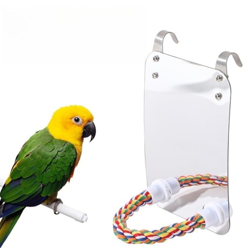 Vogelkäfigspiegel, Vogelspiegel, Schaukel, Papageienkäfig, Spielzeug mit Seilstange, Ständer, Spielzeug für Sittiche, Kakadu, Nymphensittiche, Sittiche, Sittiche, Sittiche, Finken, Kanarienvögel Vogelkäfigspiegel, Vogelspiegel, Schaukel, Papageienkäfig, Spielzeug mit Seilstange, Ständer, Spielzeug für Sittiche, Kakadu, Nymphensittiche, Sittiche, Sittiche, Sittiche, Finken, Kanarienvögel von Yunmoxiao
