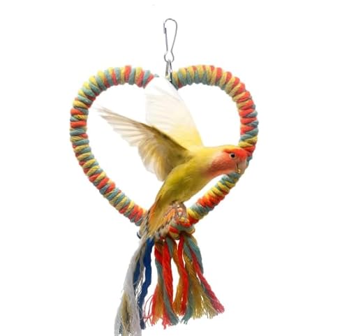 Vogelseilschaukel mit Aufhängehaken Vogelschaukel für Käfig Hängende Sitzstange Papagei Spielzeug Vogelkäfig Zubehör für Sittiche, Nymphensittiche, Sittiche, Sittiche, Sittiche, Sittiche, Sittiche Vogelseilschaukel mit Aufhängehaken Vogelschaukel für Käfig Hängende Sitzstange Papagei Spielzeug Vogelkäfig Zubehör für Sittiche, Nymphensittiche, Sittiche, Sittiche, Sittiche, Sittiche, Sittiche von Yunmoxiao