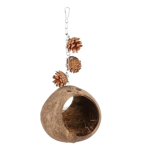 Yunnan Sourcing Kokosnuss-Vogelnest hängendes Vogelhaus Käfig Vogelschaukel Spielzeug Kokosnuss-Vogelhaus Papagei hängendes Bett Zuchtnester Kokosnuss-Vogelhaus Yunnan Sourcing Kokosnuss-Vogelnest hängendes Vogelhaus Käfig Vogelschaukel Spielzeug Kokosnuss-Vogelhaus Papagei hängendes Bett Zuchtnester Kokosnuss-Vogelhaus von Yunnan Sourcing