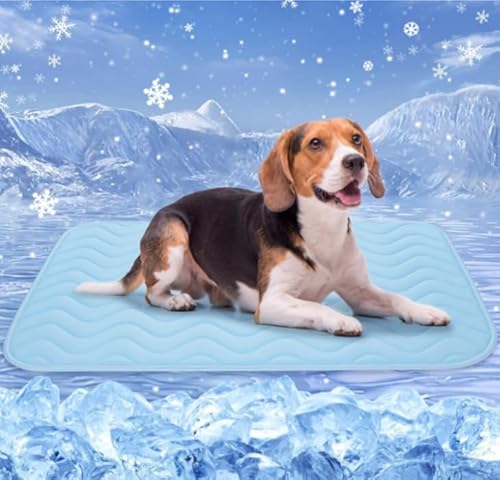 Yunova Kühlmatte für Hunde 75×60cm – Selbstkühlende Hundematte ohne Einfrieren, faltbar & wasserdicht, PVC Kühlbett für Sommer Reisen Auto Katzen Welpen – Blau Yunova Kühlmatte für Hunde 75×60cm – Selbstkühlende Hundematte ohne Einfrieren, faltbar & wasserdicht, PVC Kühlbett für Sommer Reisen Auto Katzen Welpen – Blau von Yunova
