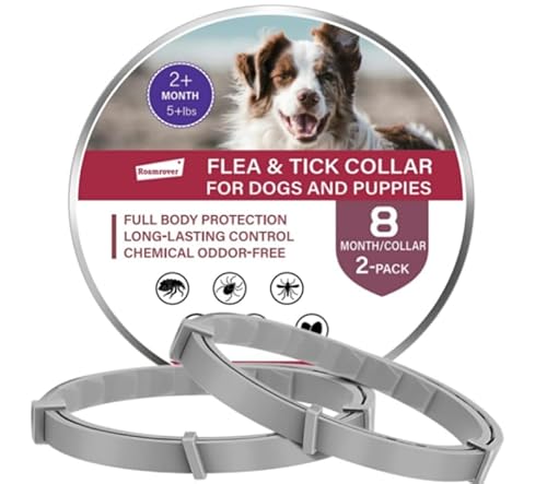 Yunova Zeckenhalsband für Hunde, 2 Stück, 62cm, Verstellbares Floh- und Zeckenschutz Halsband aus umweltfreundlichem TPR, Wasserfest, Geruchlos, Langzeitschutz für kleine & große Hunde Yunova Zeckenhalsband für Hunde, 2 Stück, 62cm, Verstellbares Floh- und Zeckenschutz Halsband aus umweltfreundlichem TPR, Wasserfest, Geruchlos, Langzeitschutz für kleine & große Hunde von Yunova