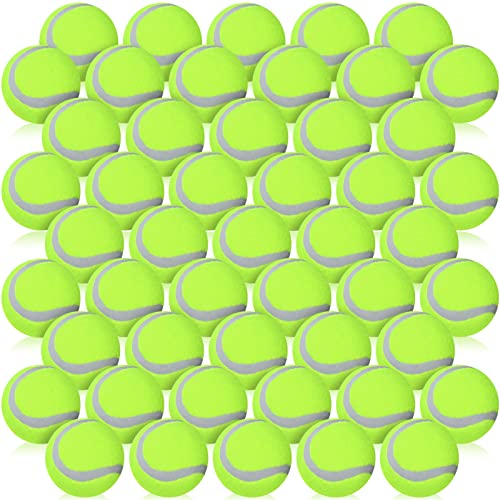 50 Packungen Hunde-Tennisbälle für Haustiere, Mini-Training, Haustierspielzeug für große, mittelgroße und kleine Hunde, Training, Spielen, Übung und Apportieren (gelb) 50 Packungen Hunde-Tennisbälle für Haustiere, Mini-Training, Haustierspielzeug für große, mittelgroße und kleine Hunde, Training, Spielen, Übung und Apportieren (gelb) von Yunsailing