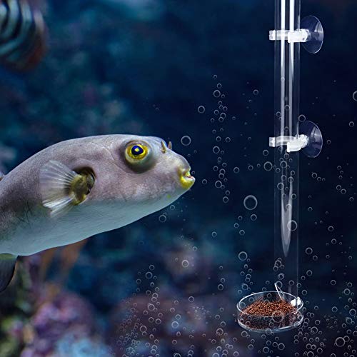 Aquarium Feeder, Fischfütterungsröhre Glasfütterungsröhre Fütterungsring für Kristallgarnelen Garnelen, Tropische Fische für Fischaquarium (Rohrlänge 32 cm) von Yunseity