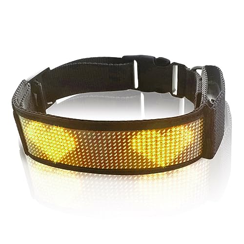 LED-Hundehalsband, Wiederaufladbares, Leuchtendes Sicherheitshalsband für Hunde, über Bluetooth Programmierbar, APP-gesteuert, Personalisierter Text und Grafiken (Gelb) von Yunseity