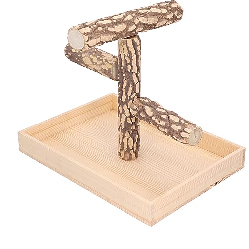 Yunseity Vogelzubehör, Verschleißfester Vogelspielstand für Wellensittich für Nymphensittich für Sittich für Papagei Yunseity Vogelzubehör, Verschleißfester Vogelspielstand für Wellensittich für Nymphensittich für Sittich für Papagei von Yunseity