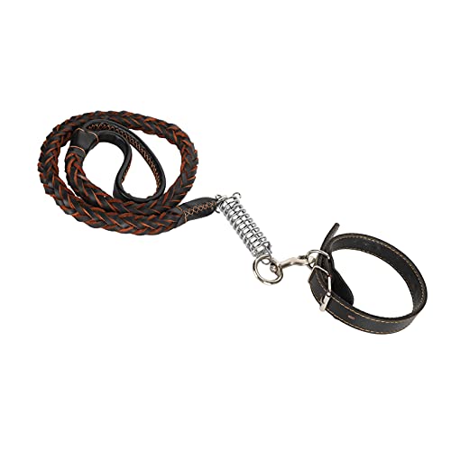 Yunseity Hundehalsbänder und Hundelinen, Haustier Anti-verlorene Leine Hundeleine Zum Gehen, Laufen-Oder-Training (Black) von Yunseity