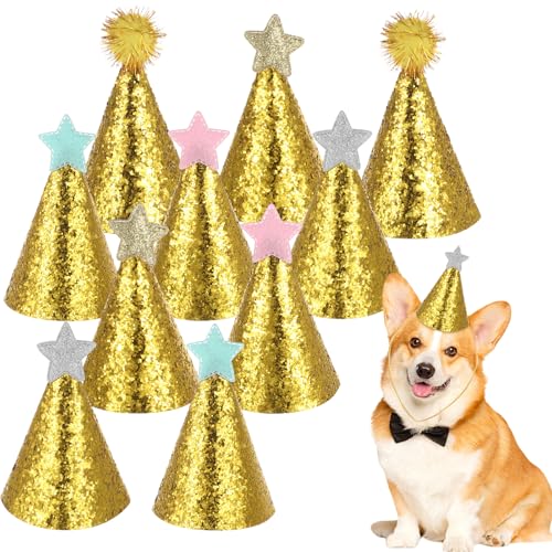 Yuomeaz Mini-Stofftier-Partyhüte, Mini-Geburtstagshüte für Hund und Katze, verstellbare kleine Stofftiere, Geburtstags-Stirnbänder für Party, Kostümzubehör (Stern + Ball) von Yuomeaz