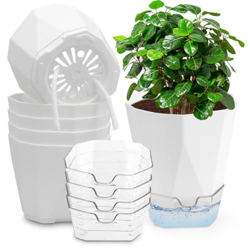 Yuragim 6 Packs Self-Watering Pot,Plant Pot with Watering System,Windowsill Herb Pots Küchenkräuter Topf,Kräutertopf Selbstbewässernd Für die Gartenarbeit zu Hause, für Balkone. Yuragim 6 Packs Self-Watering Pot,Plant Pot with Watering System,Windowsill Herb Pots Küchenkräuter Topf,Kräutertopf Selbstbewässernd Für die Gartenarbeit zu Hause, für Balkone. von Yuragim