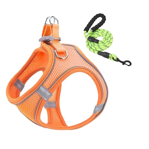 Yurosuis Hundegeschirr Und Leinen Set, Netzgeschirr und Hundleinen Kombi, Atmungsaktives Ausbruchsicheres Geschirr Für Hunde Katzen Wandern Camping Ausflüge Training von Yurosuis