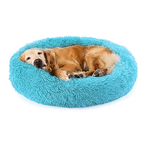 Yurun hundebett waschbar mittelgroße Hunde, Hundehaus Betten für Katzen, Warme Weiche Bequeme Leicht zu reinigen, für kleine, mittelgroße Haustiere (Blau,80CM) von Yurun