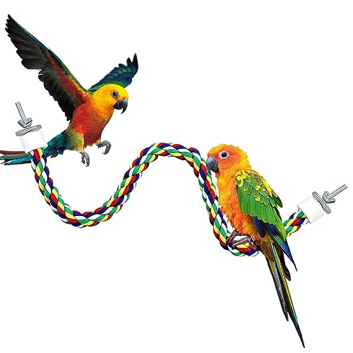 Papageienseilbarsch - Biegbare Käfigstange aus Edelstahl für Papageien | Tragbares Seilspielzeug zu Reinigen der Zähne, buntes Spielzeug für kleine Vögel zum Trainieren, Klettern und Erkunden Yusheng von Yusheng