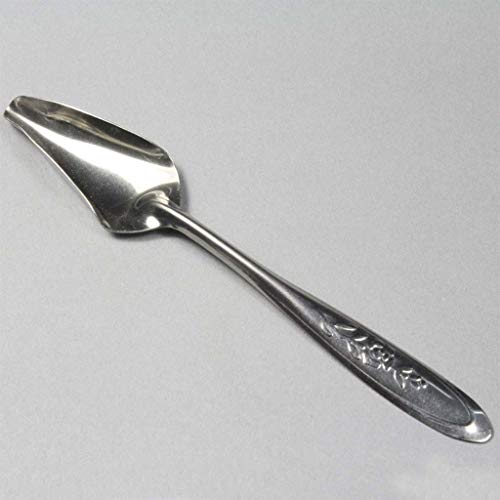 Yushu - 5 Stück Baby Vogel Spitz Futterlöffel - Edelstahl Milch Medizin Papageien Feeder - für Baby Bird Pfingstrose Nymphensittich - Haushalt Papageien Feeder von Yushu
