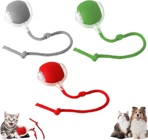 Interaktiver Katzenball - Elektrisches Katzenspielzeug Zur Selbstbeschäftigung, Automatisch Rollender Intelligenz Ball für Katzen Und Hunde (3 Stücke) von YuuFcy