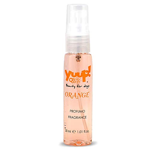 Yuup!® Haustierparfüm “Colour your style with fragrance” (Orange) 30ml von Yuup!