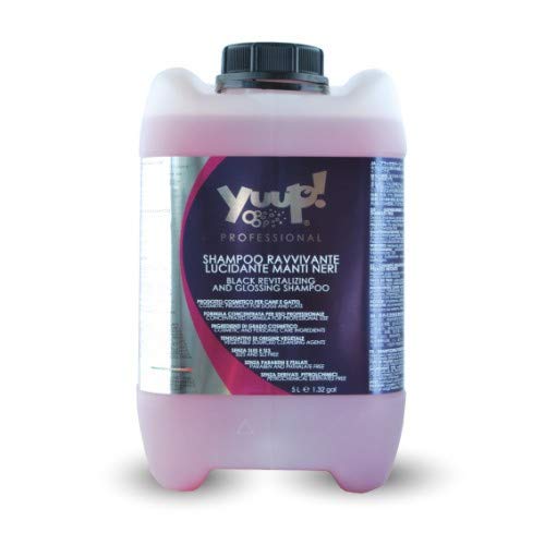 Yuup!® Professionelles Glanz-Hundeshampoo für Dunkles und schwarzes Fell Variante (Volumen) 5 Liter Kanister von Yuup!